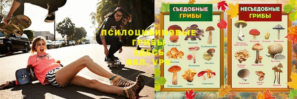 спиды Белокуриха