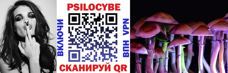 Псилоцибиновые грибы Magic Shrooms  Купить закладки  Александровск-Сахалинский 